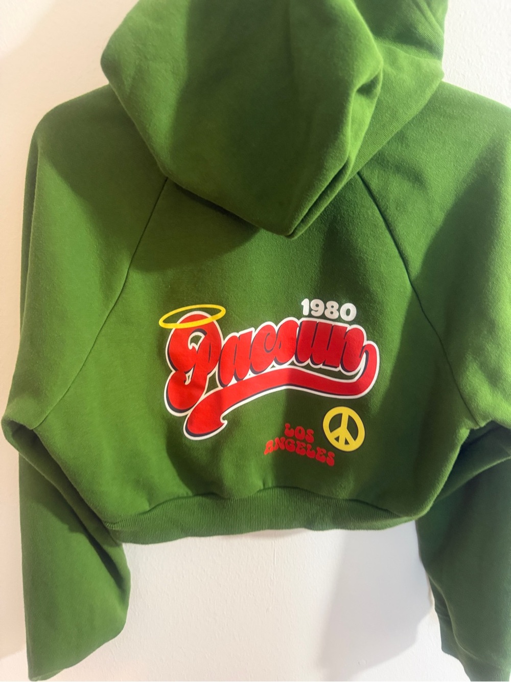 PacSun Green Graphic Cropped Zip Up Hoodie Retro 1980 Los Angeles Size Small